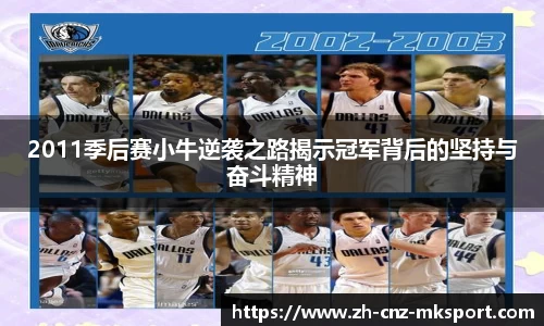 2011季后赛小牛逆袭之路揭示冠军背后的坚持与奋斗精神